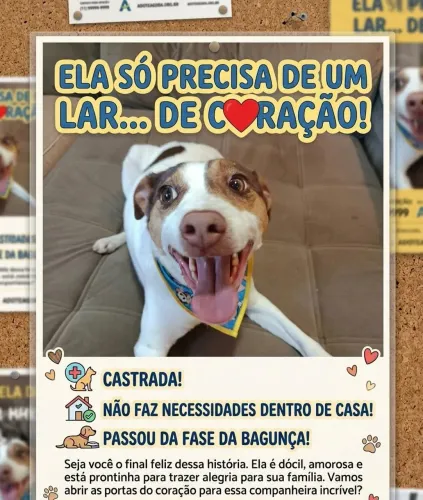 Adoção Responsável