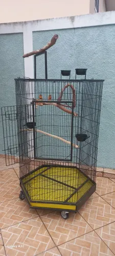 Gaiola grande de ferro com rodinhas