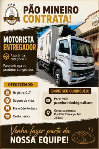 Motorista entregador 