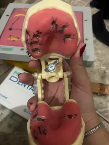 Manequim cirurgia edêntulo
