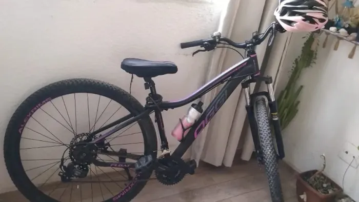 ? OGGI Float 5.0 Aro 29