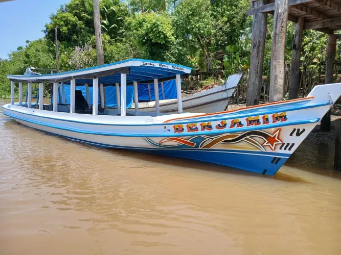 Catraio novo com motor 18 e revés