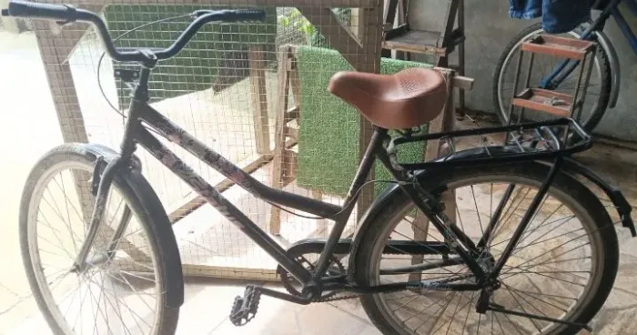 Bicicleta