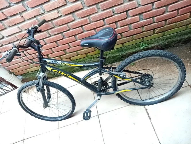 Bike Caloi Max front