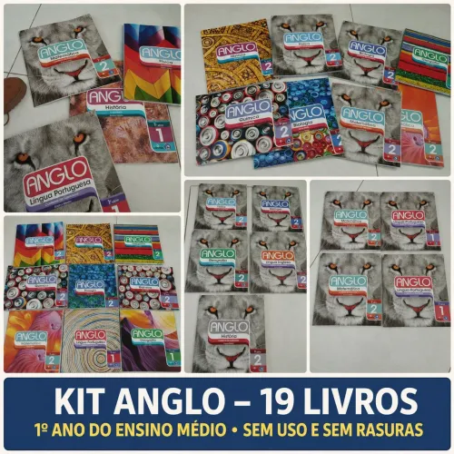 Kit 19 livros didáticos
