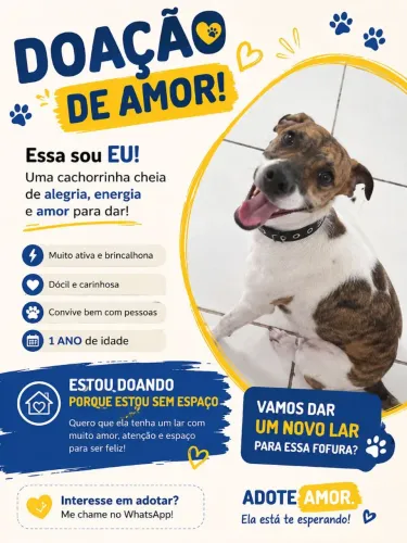Estou doando essa cachorrinha