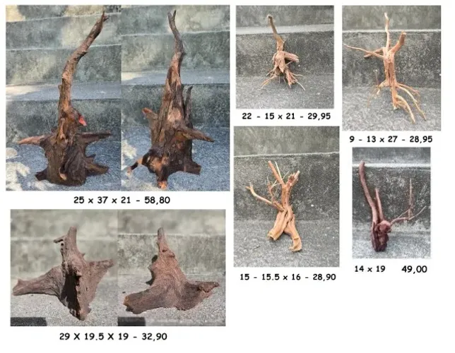 Troncos para ornamentação de aquários