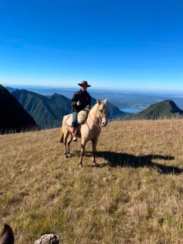 Cavalo Crioulo Baio Ruano