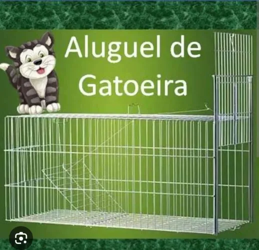 Aluguel não machuca a maior do mercado