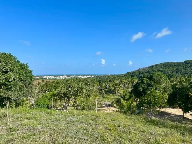 Lotes de Chácaras Barra de São Miguel - Com Vista para o Mar 