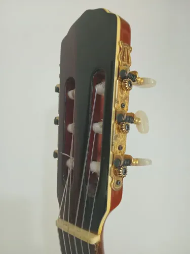 Violão Giannini 1978 Awn C1 Sávio Original