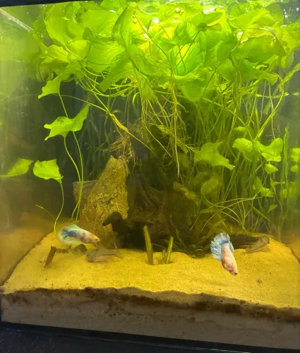 Aquário Cubo Completo