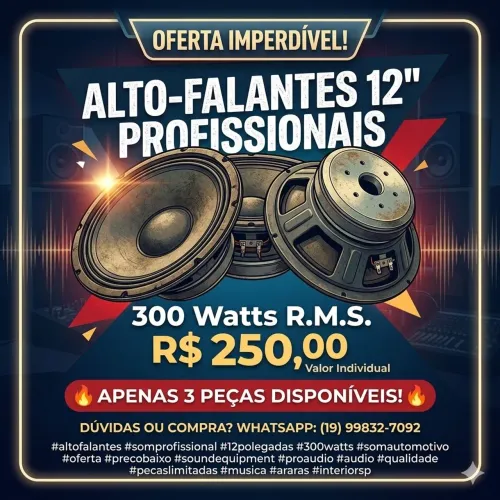 Alto falante de 12 polegadas 300w, valor individual R$250.00