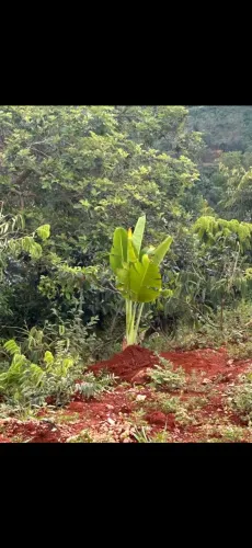 Terreno 6.600m² em Taquaraçu de Minas - Excelente Oportunidade