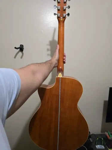 Violão Tagima Woodstock Séries TW-29