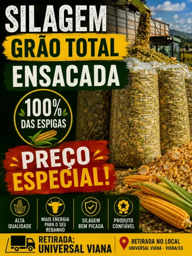 Silagem Grao Total