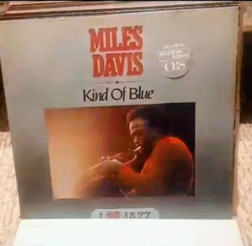 Lote Exclusivo de Discos de Vinil (LPs) e Box Sets - Rock, Jazz, Blues e Grandes Clássicos