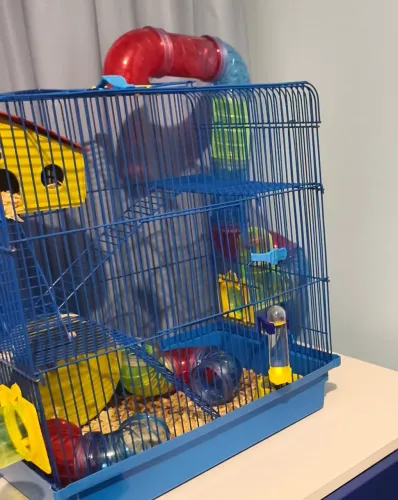 Gaiola de hamster completo