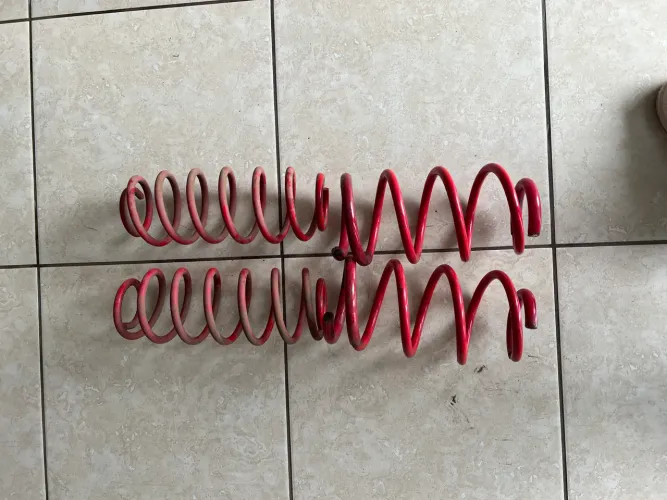 Molas esportivas polo tsi