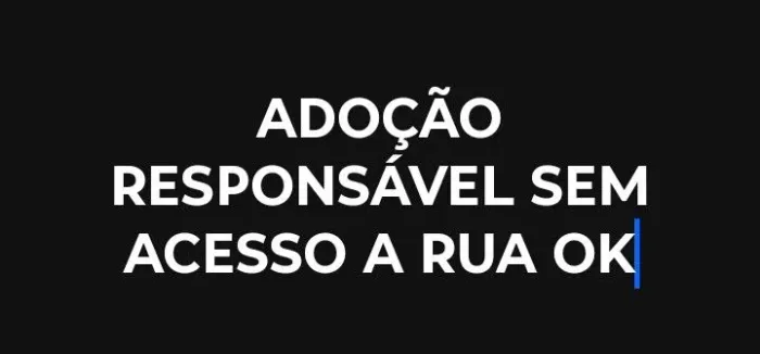 LINDEZAS PRA ADOÇÃO RESPONSÁVEL SEM ACESSO A RUA OK SEM ACESSO