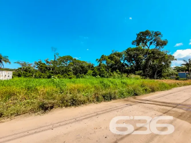 Terreno | São Francisco do Sul | Ervino