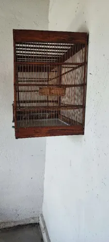 Gaiola voador