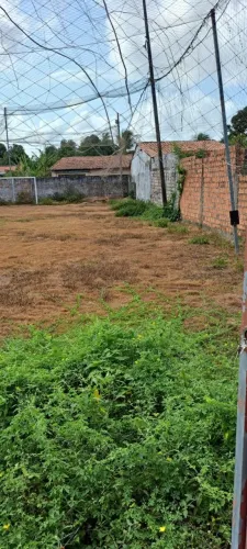Terreno 26x48