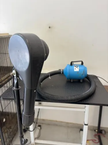 Equipamentos para banho e tosa completo