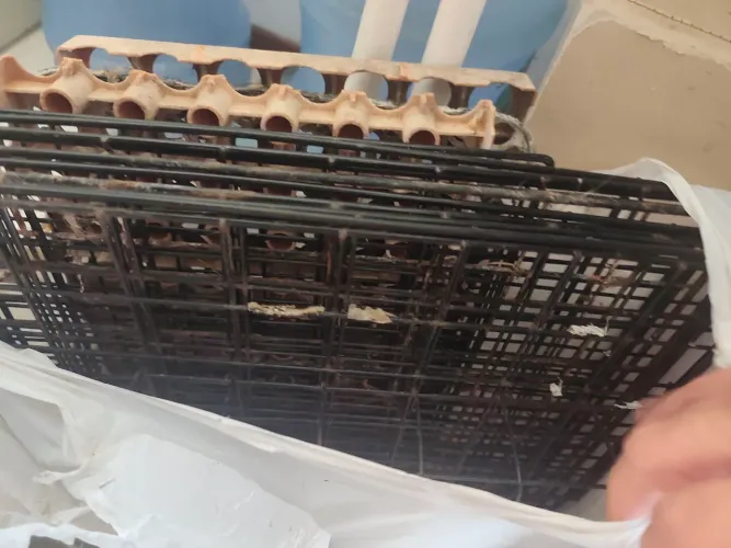 Casa/gaiola aberta para roedores