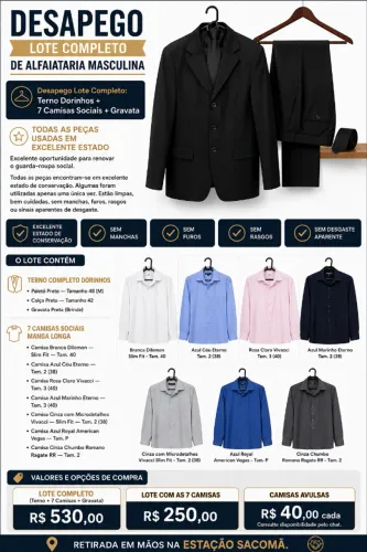 Desapego Lote Completo: Terno Dorinhos + 7 Camisas Sociais Marcas Variadas + Gravata