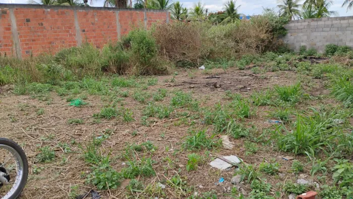 Terreno