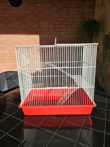 Gaiola grande para hamster, twister, gerbil, camundongo em Jundiaí