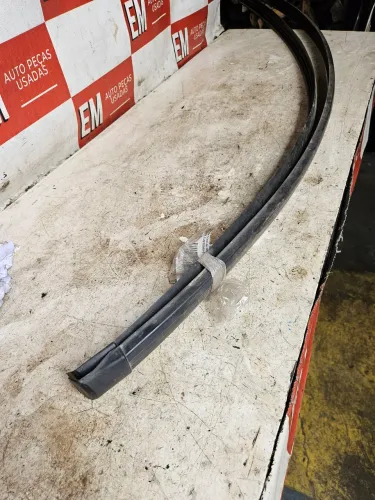 Friso do tetos Renault scenic par