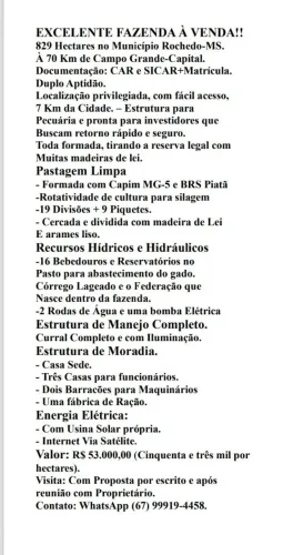LINDA FAZENDA 