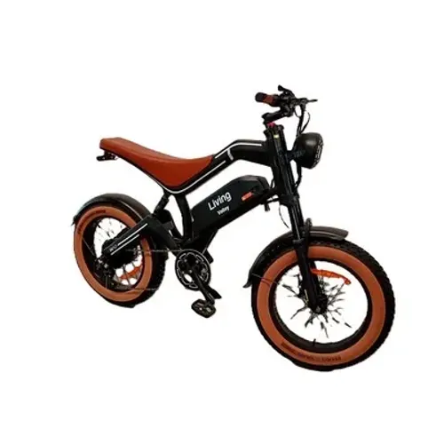 BICICLETA ELETRICA VALLEY PT 750W HAO