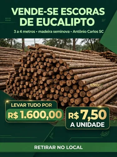 VENDE-SE ESCORAS DE EUCALIPTO 3M A 4M - LOTE R$ 1600 OU R$ 7,50 UN - ANTÔNIO CARLOS/SC