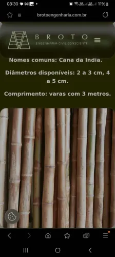 DÚZIA de varas bambu tratado