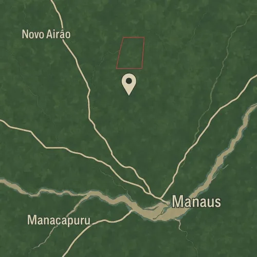 40 HECTARES NO AMAZONAS | MANACAPURU - SENTIDO NOVO AIRÃO | R$ 299 MIL