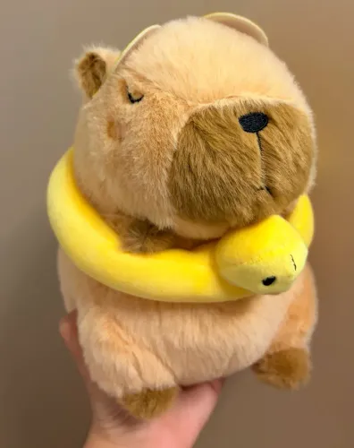 Capivara boia
