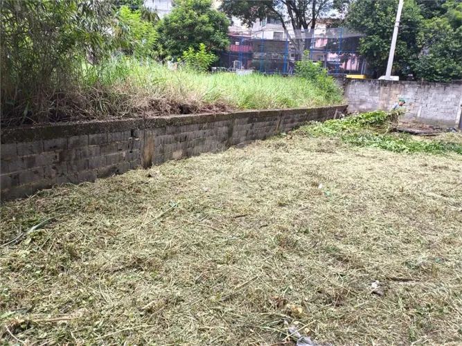 Terreno de 250 m2 na Vila Mascote