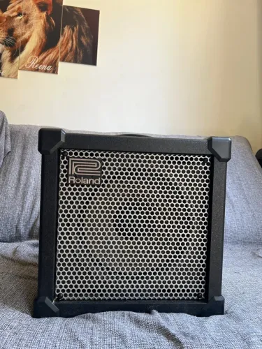 Amplificador Roland CUBE 40XL
