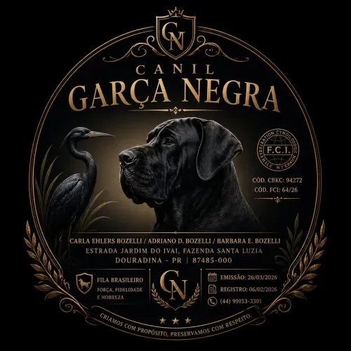 Canil Garça Negra Fila Brasileiro 