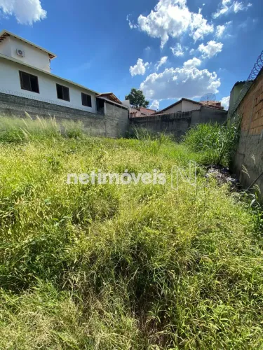 Locação Lote-Área-Terreno Fernão Dias Belo Horizonte