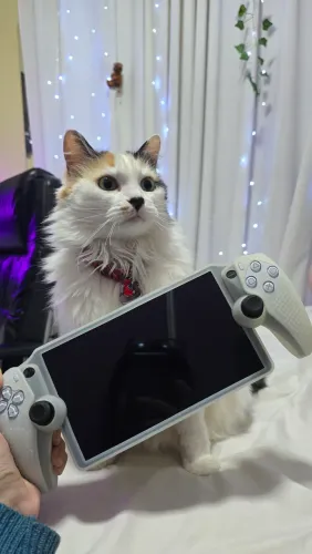 Playstation Portal com acessórios