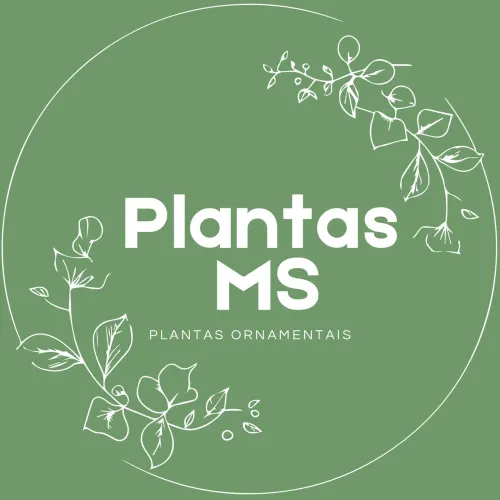 Plantas