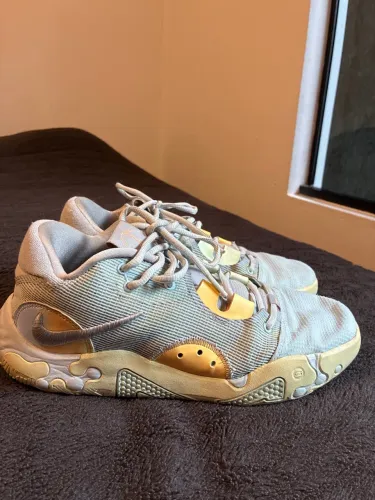 Tênis Nike pg6