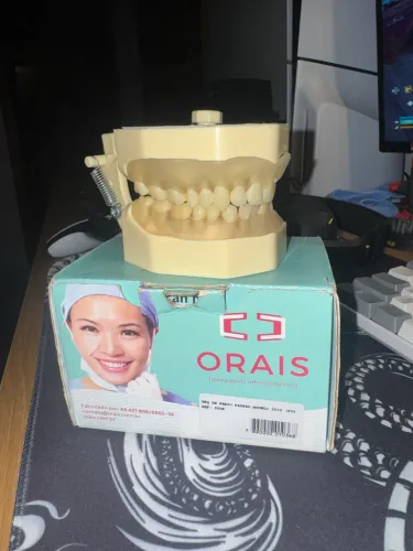 Manequim de Periodontia Orais