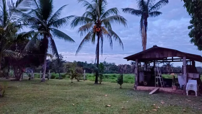 Vendo Fazenda 