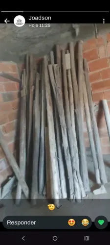 Escora Eucalipto 