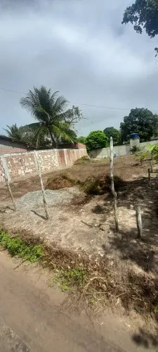Lote a venda 11 X 25